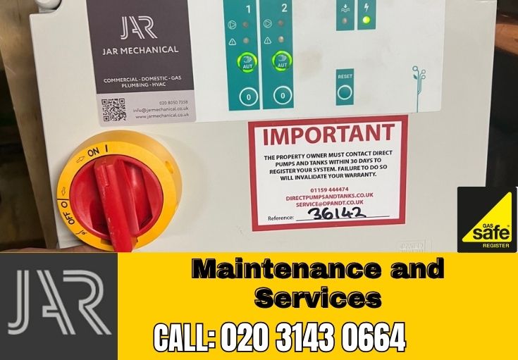 Domestic Maintenance and Services Roehampton